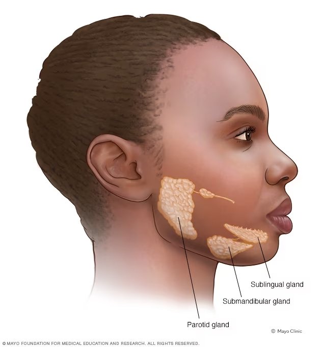 Mumps Virus